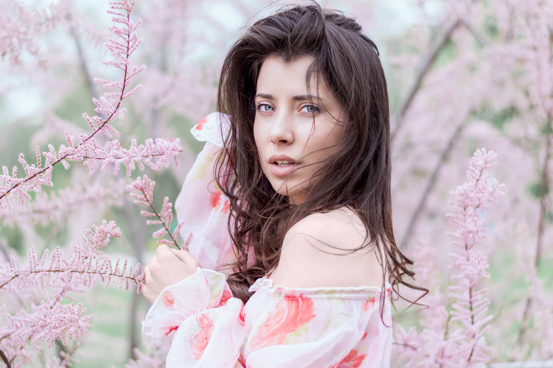 Depositphotos_246288988_xl-2015-1